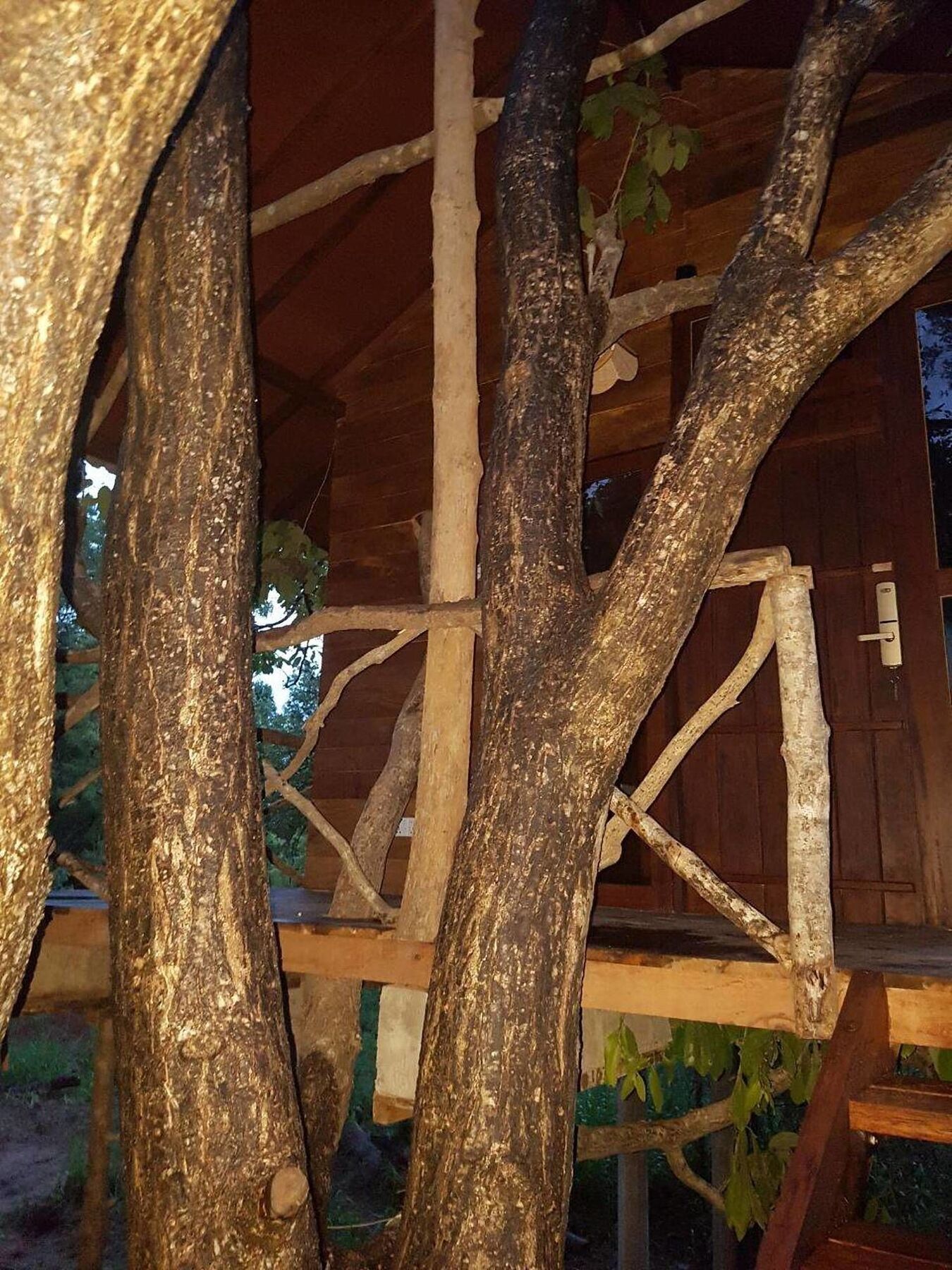 Eighth Wonder Resort Szigirija Kültér fotó